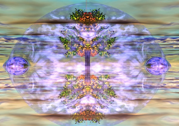 Vision Tree x
