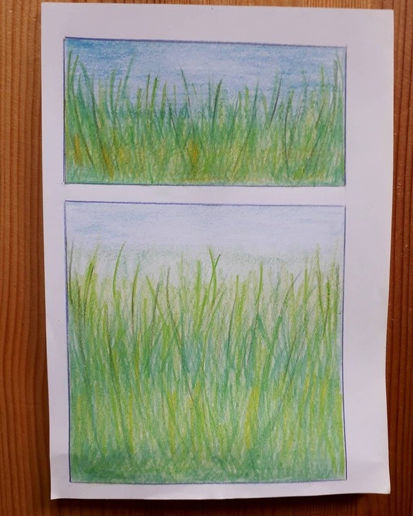 Grass
