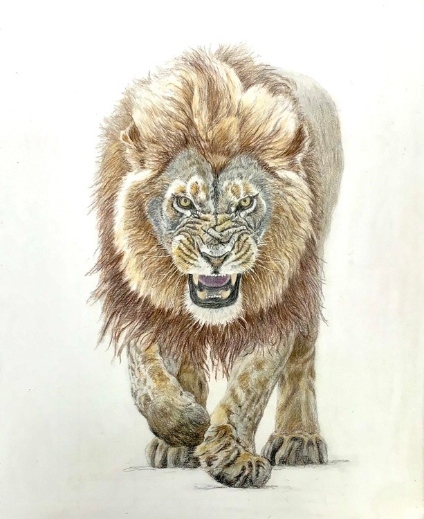  On the Prowl