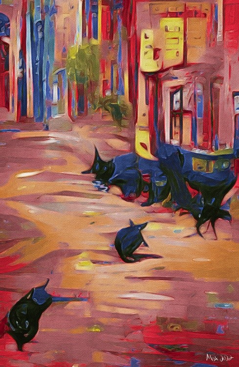 Cats