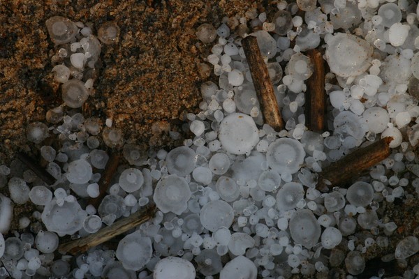 Hail Storm