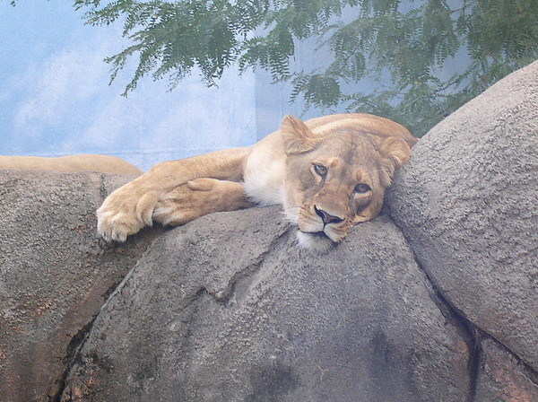 Waking up with a nap