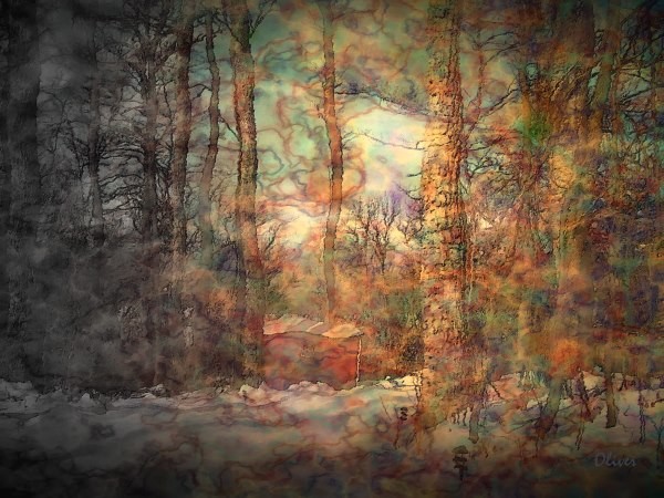 Winter Envisions Spring