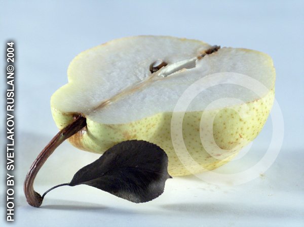 Half of pear
