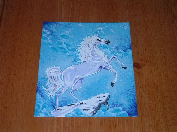 Wild Wind Rider