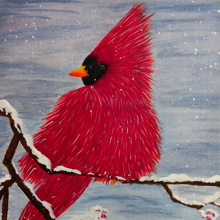 Winter Cardinal 