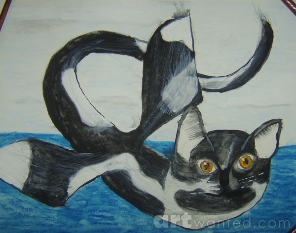 Catasus