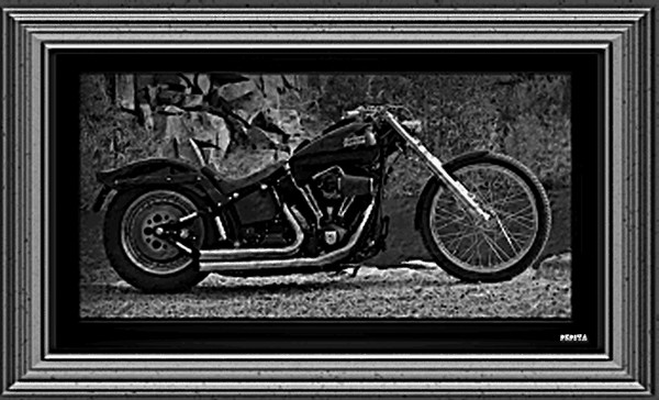 Harley