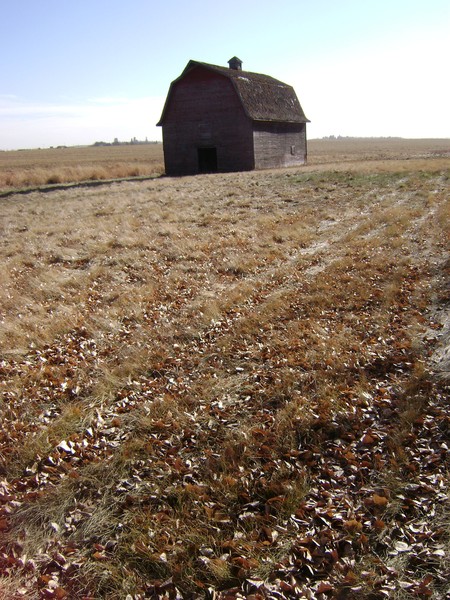 The Barn...5