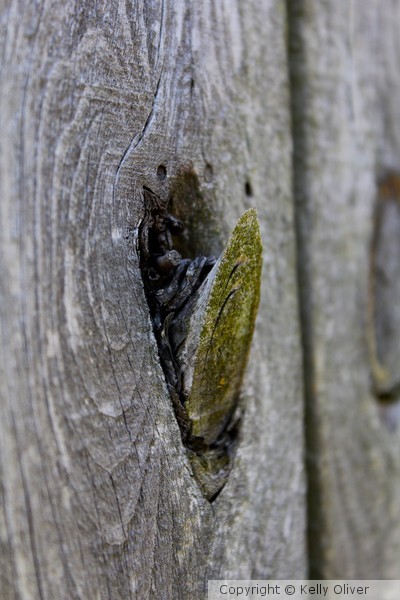 Knot falling out