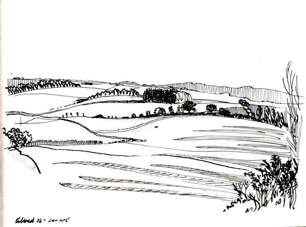 Meadows of Liltved in low sun