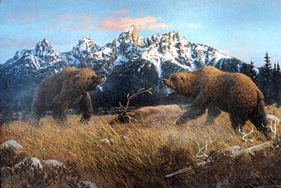 Teton Titans