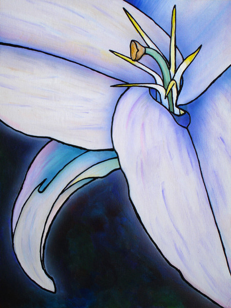Edge LILY