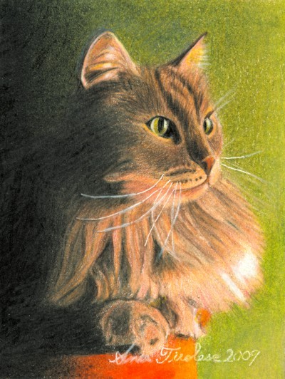 Cat Miniature