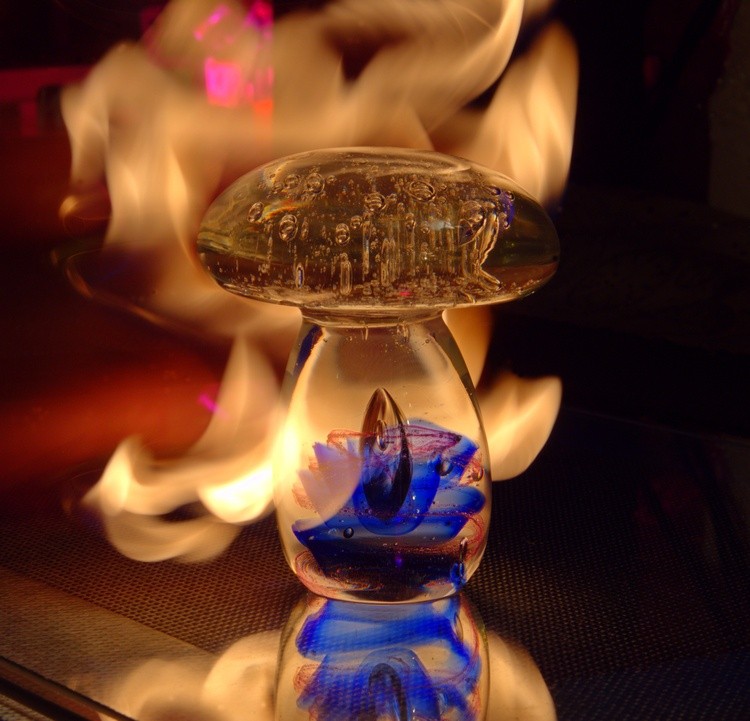 Flaming The Shroom 1