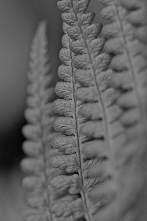 Repetition