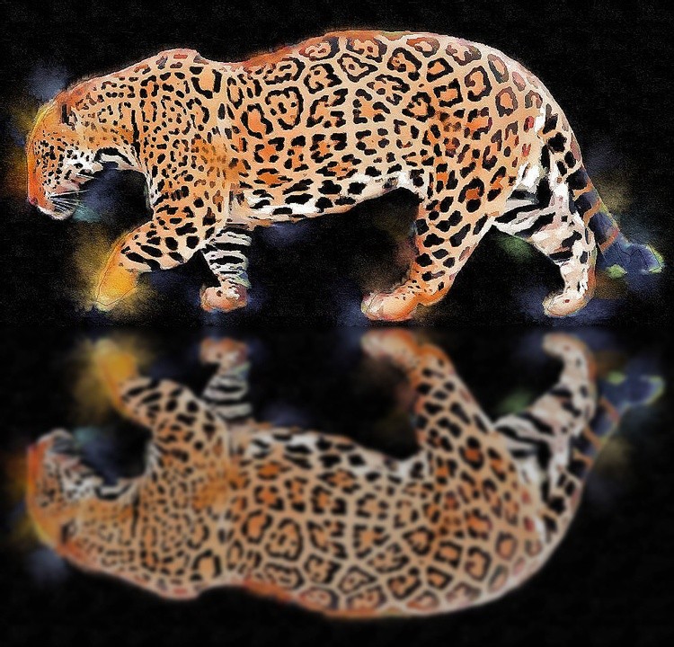 Spirit Of The Jaguar
