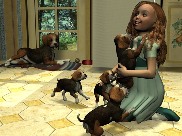 Puppies