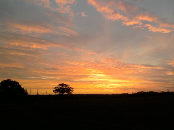 Sunrise