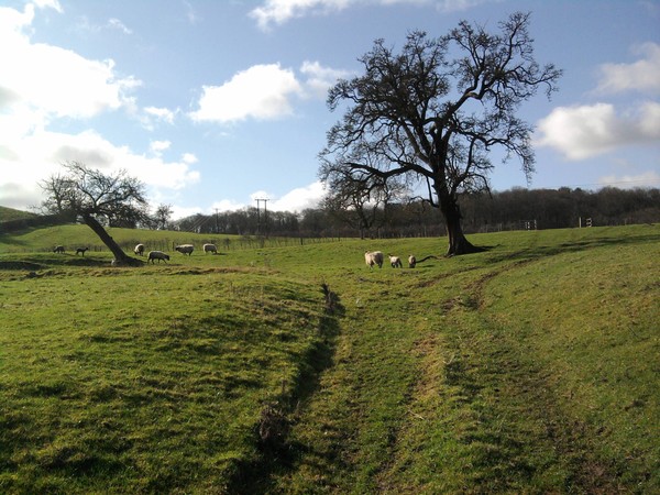 England, this green and pleasant land 10