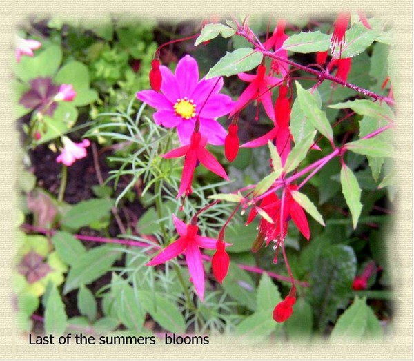 Summers end.