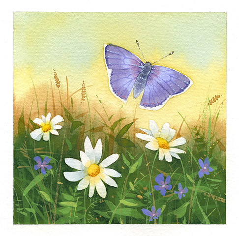 Butterfly and flowers