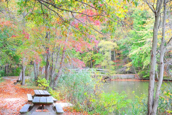 Fall Colors at Lums Pond