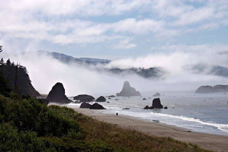 south of eureka ca 2017