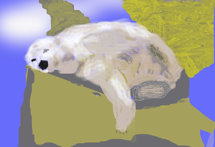 Sleepi' on the Rocks (O786)