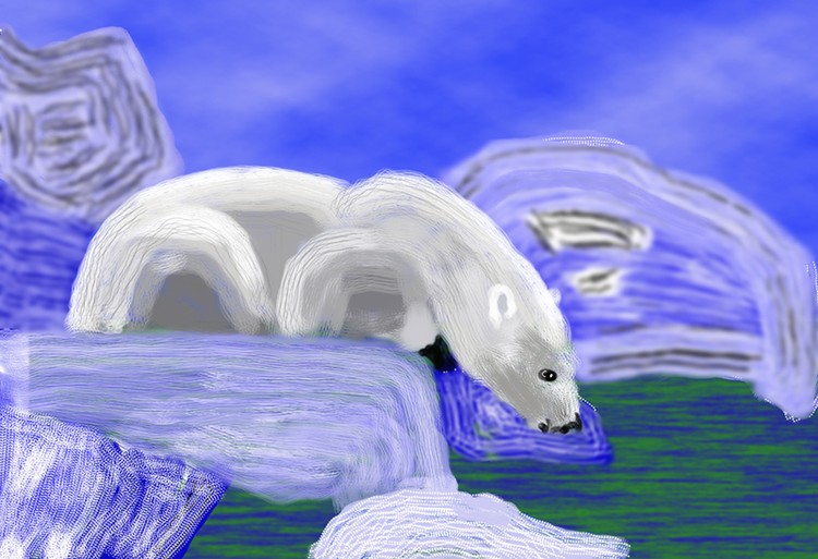 Polar Bear having a Drink P181