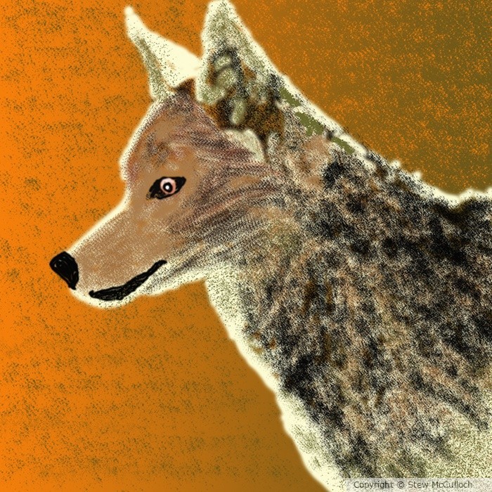 Wolf Alert   P258 