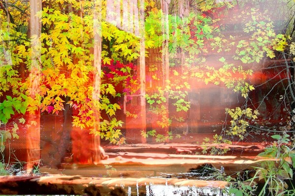 Spiritual Courtyard