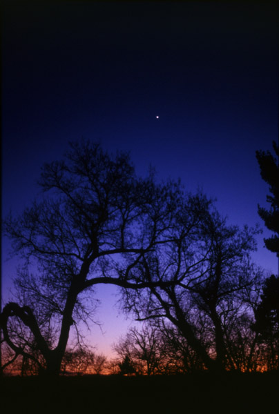 Twilight