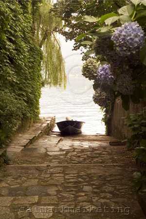 By the Dock