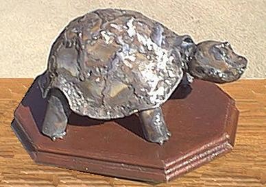 Turtle # 33  2001