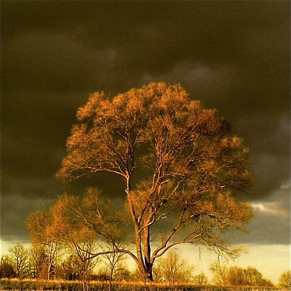 Stormy Morning