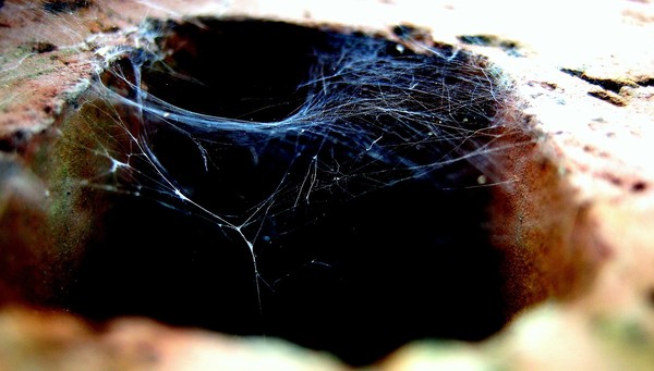 Brick of Webs