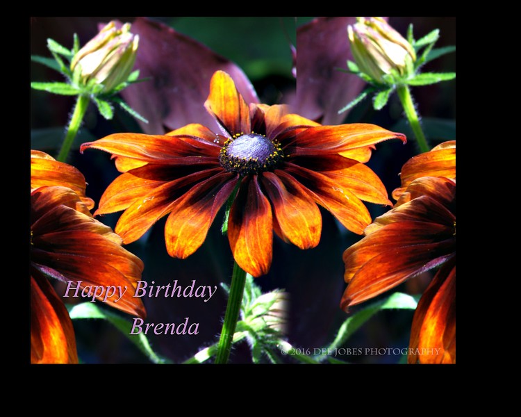 Happy Birthday Brenda