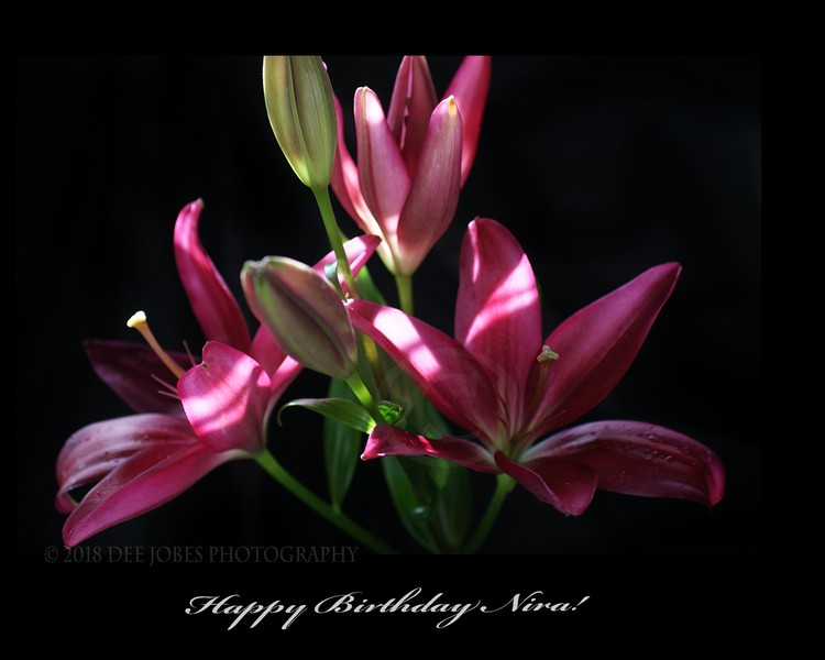 Happy Birthday Nira
