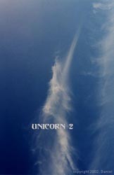 Unicorn 2