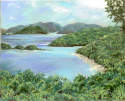 Trunk Bay Beach