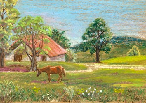 Abram's Farm