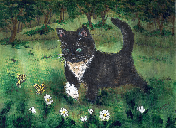 kitten and butterflies
