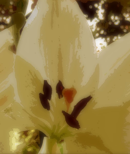A Single Lily (Four)