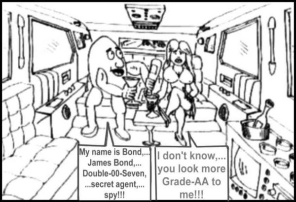 Secret Agent Egg