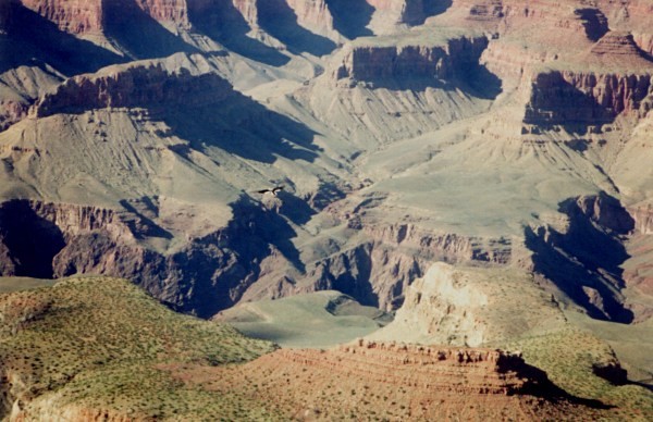 Grand Canyon 4