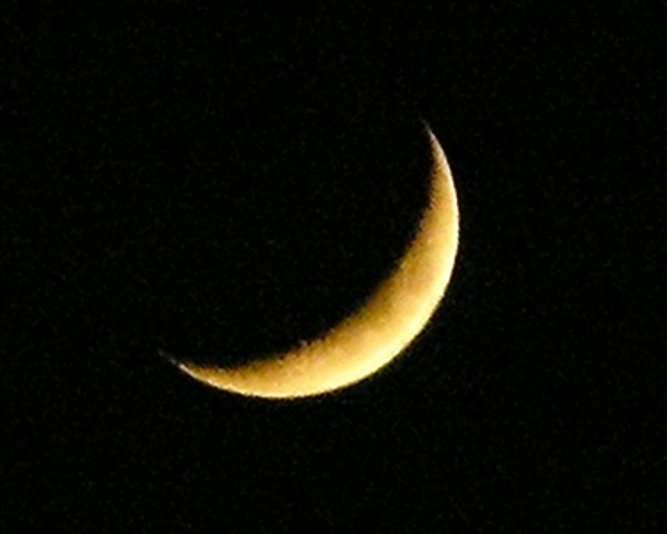 a sliver of cheese