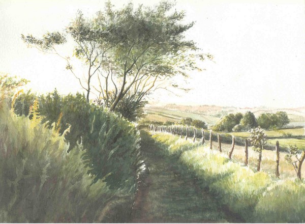 Along the track
