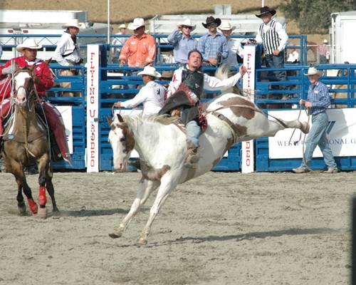 Buckin' Bronc 23