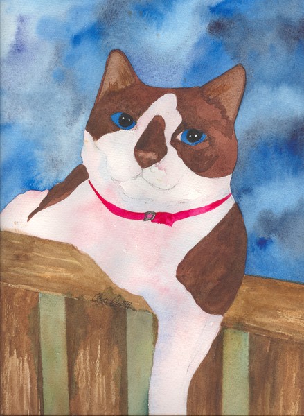 Snowshoe